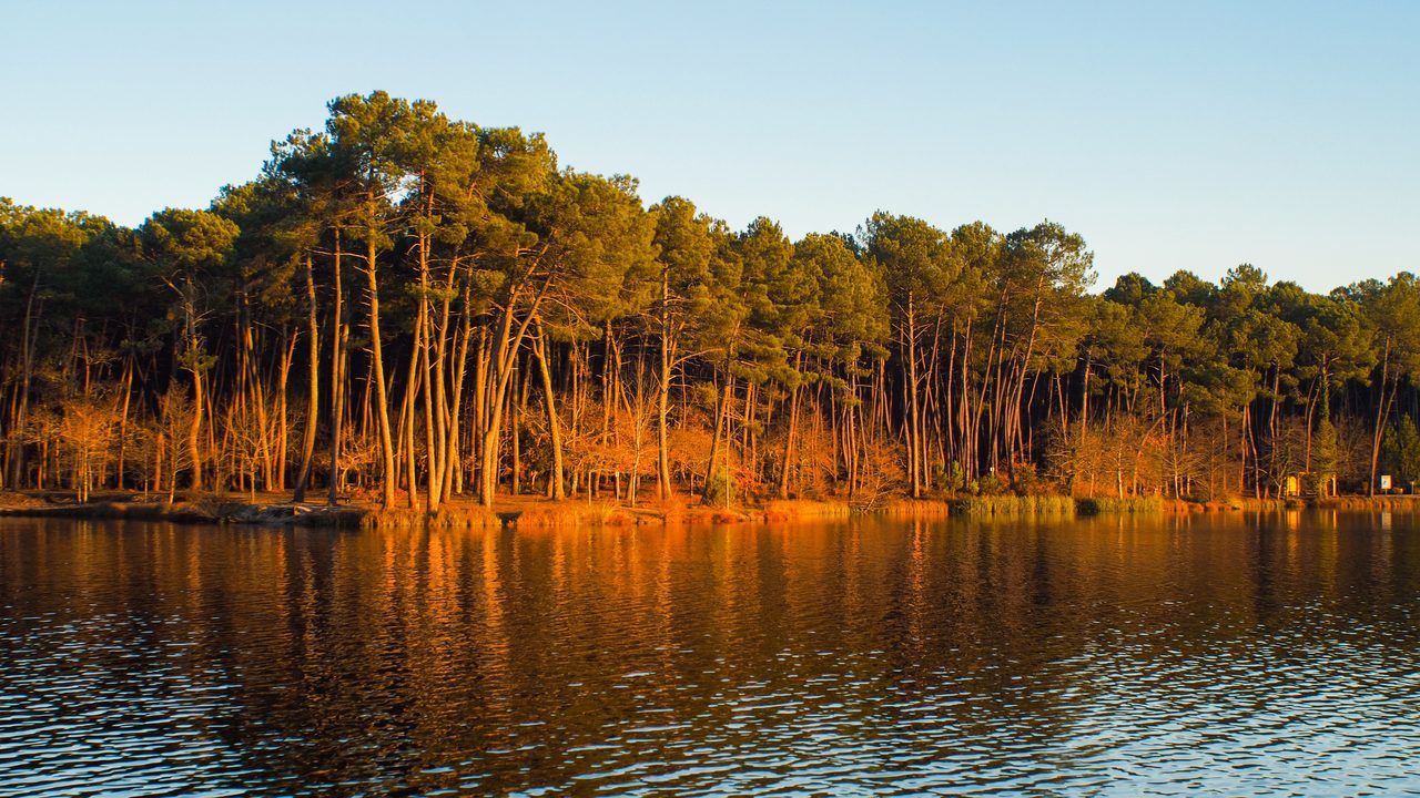 Lac de Casteljaloux