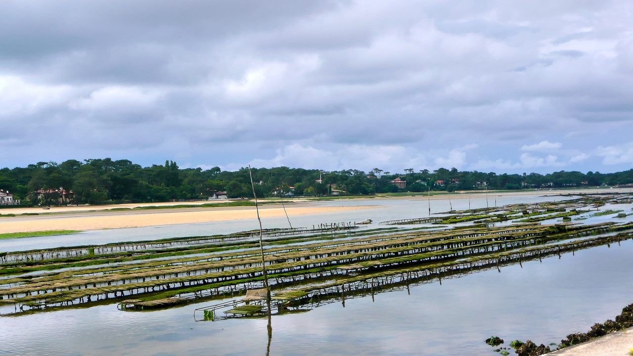 Lac d'Hossegor