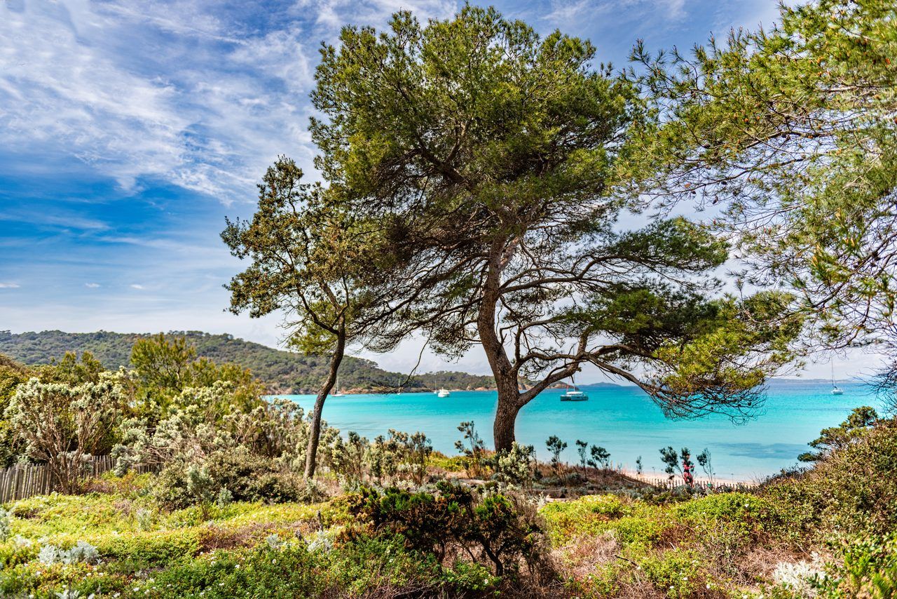 Île de Porquerolles