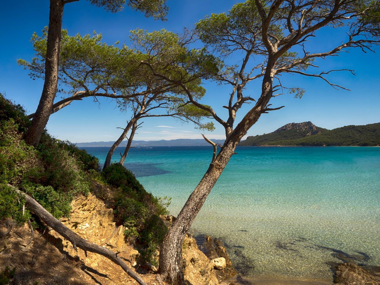 Île de Porquerolles snorkeling