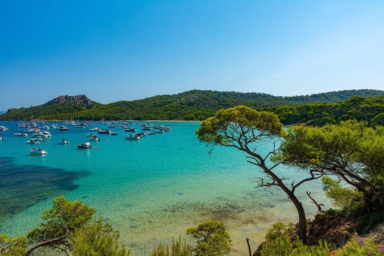 plage île Porquerolles