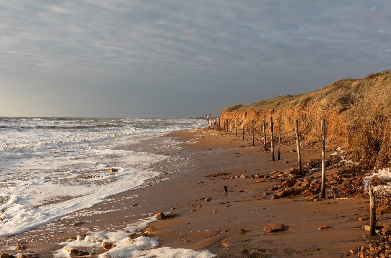 Plage de Paracou