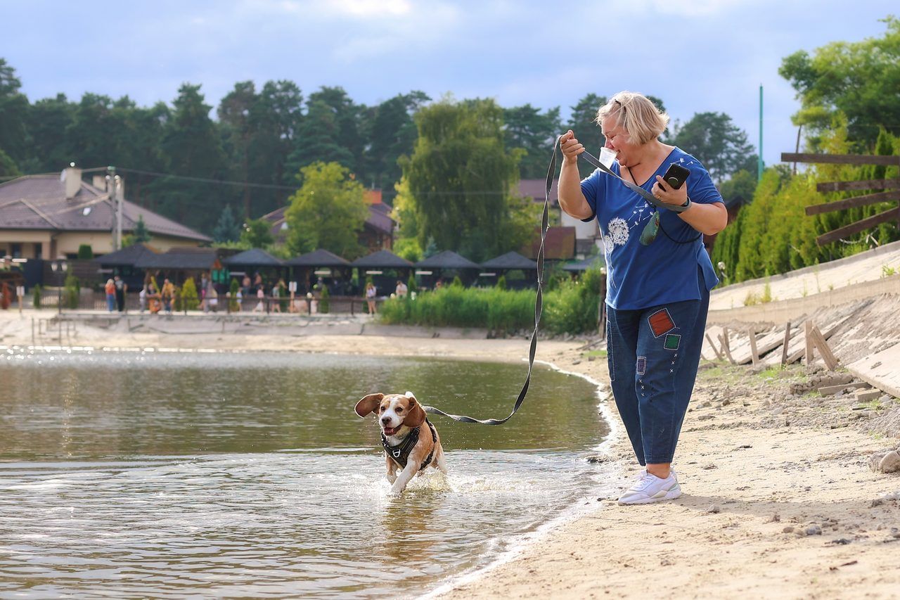chien plage laisse