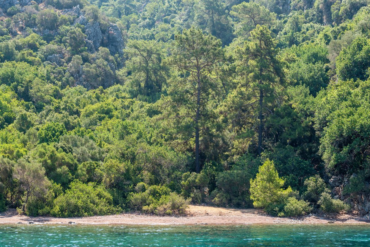 Plage de Cenitz
