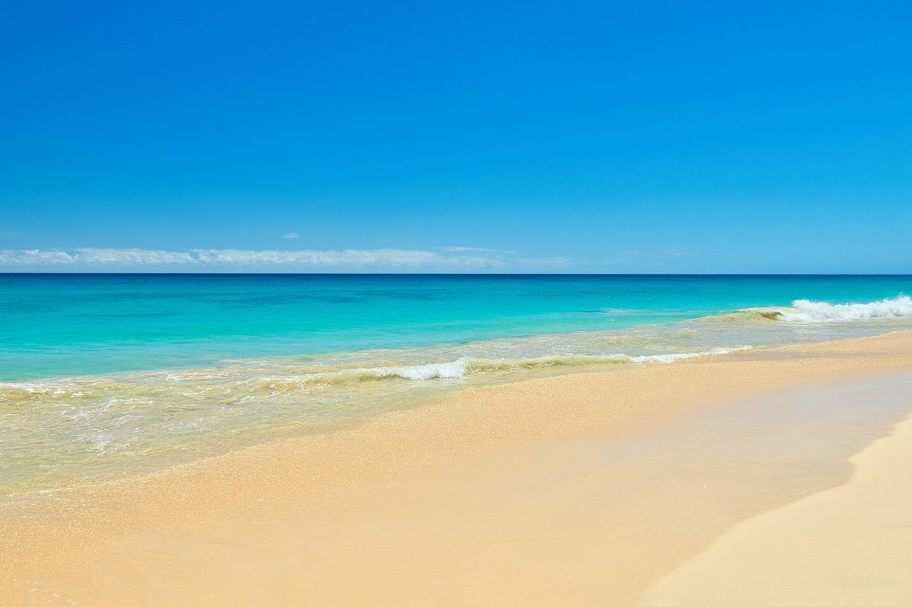 drapeau de plage sécurité mer