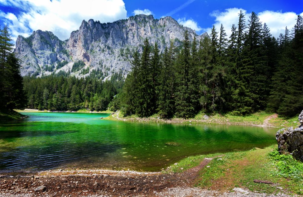 gruner-see