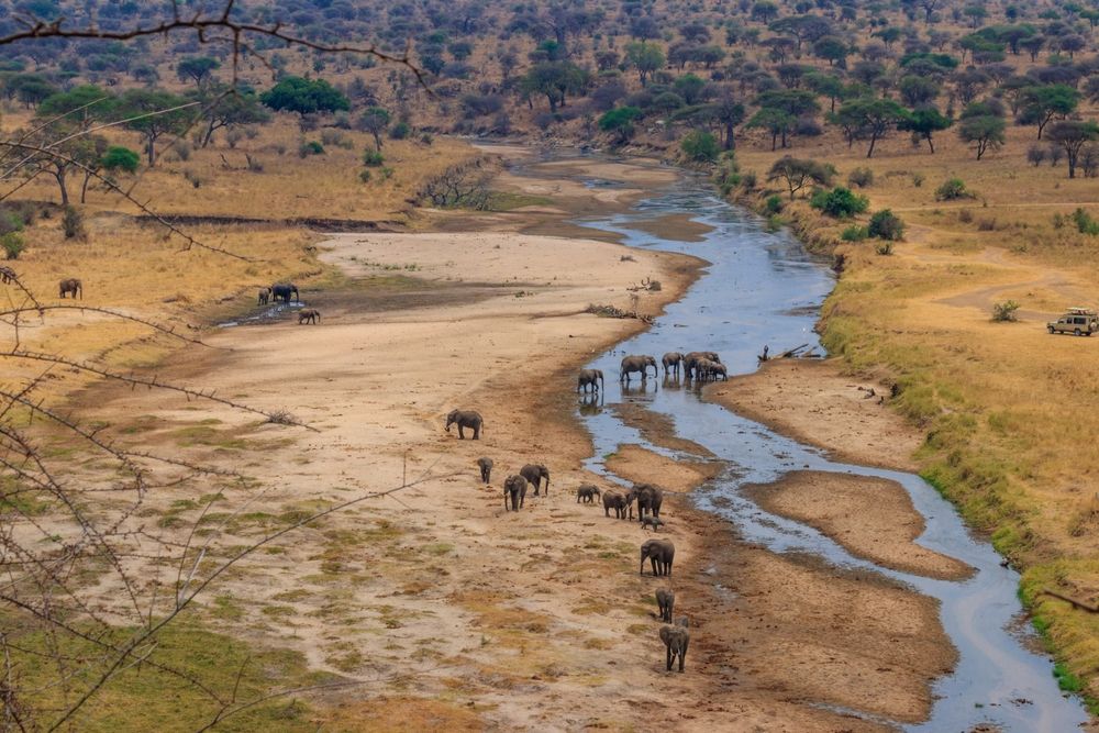 tarangire