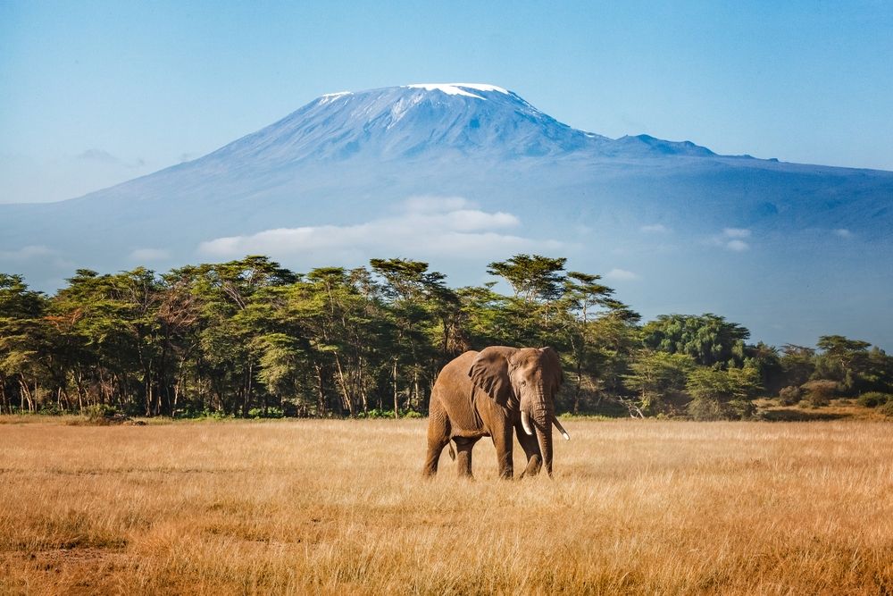 Visiter la Tanzanie : 12 lieux exceptionnels à découvrir