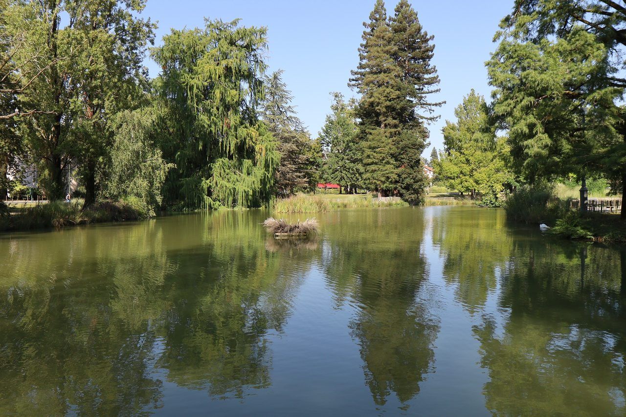 Parc Beaumont Pau