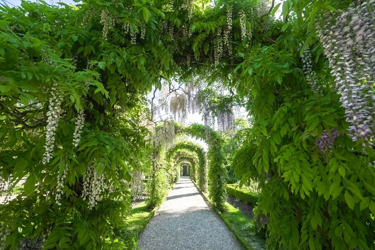 parc de Bagatelle