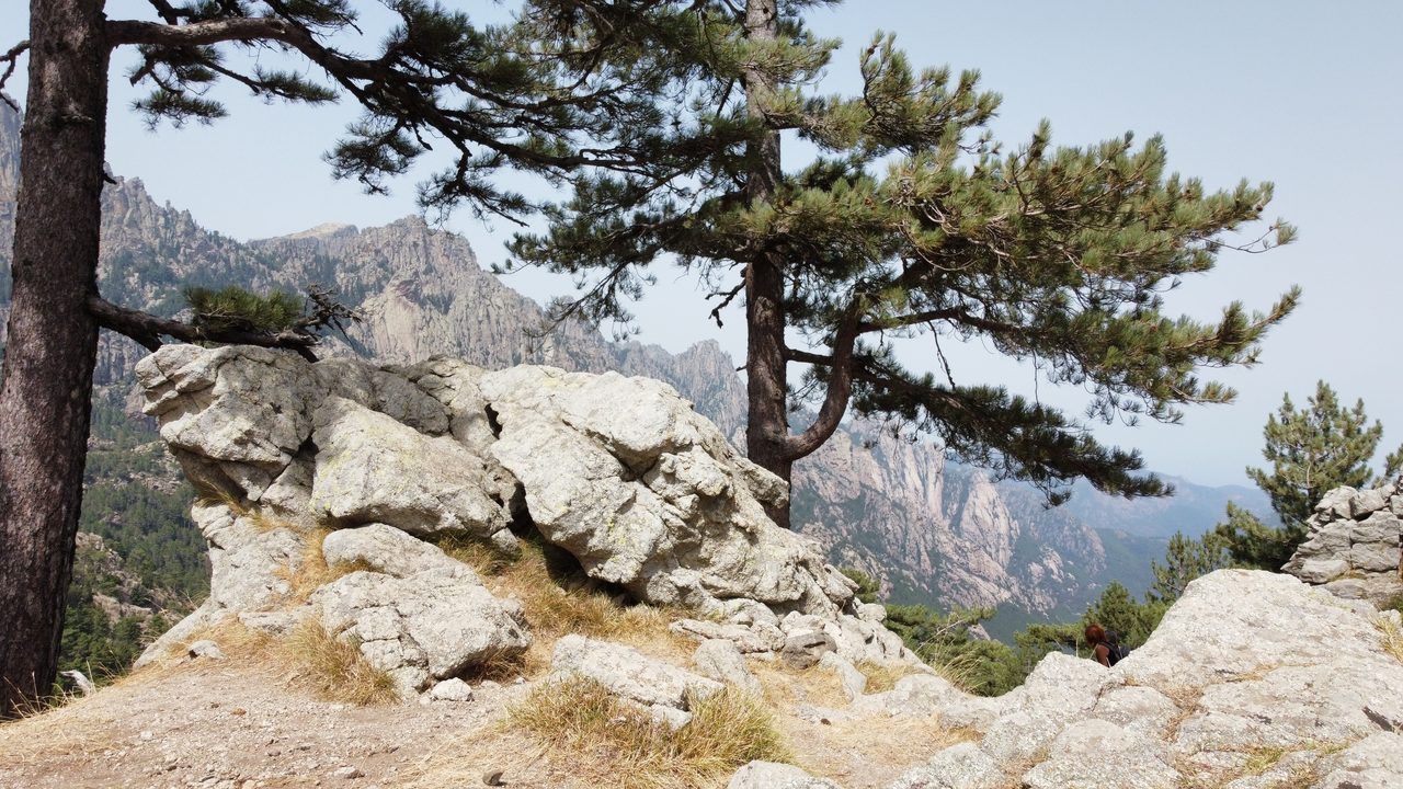 Alta Rocca Corse
