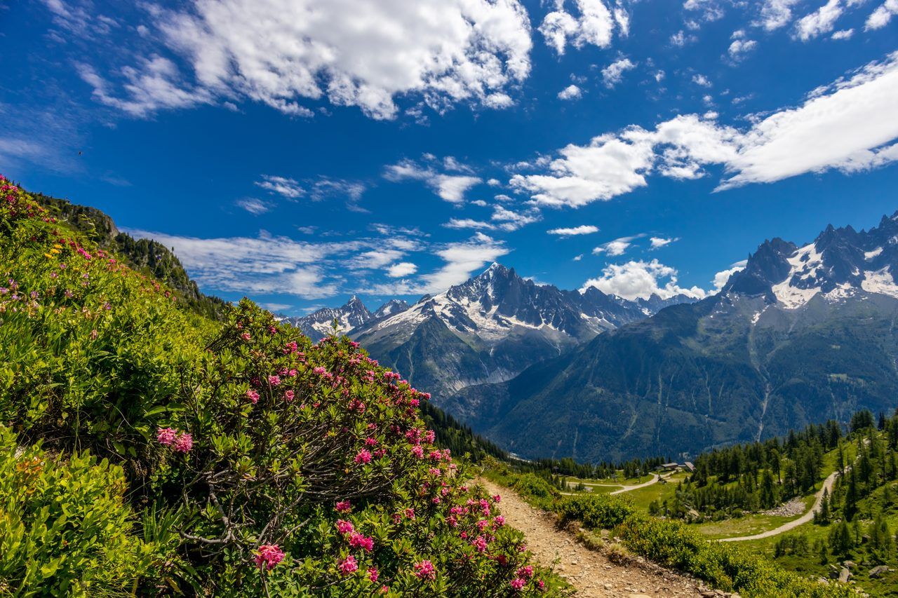 Chamonix Mont-Blanc