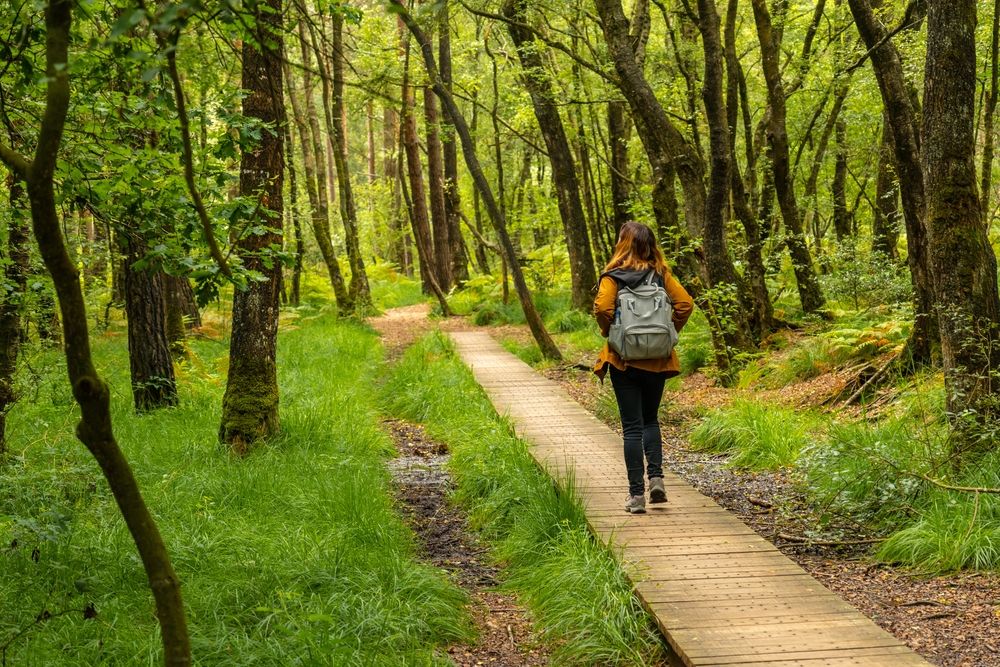 A,Young,Girl,On,The,Wooden,Footpath,At,Lake,Paimpont