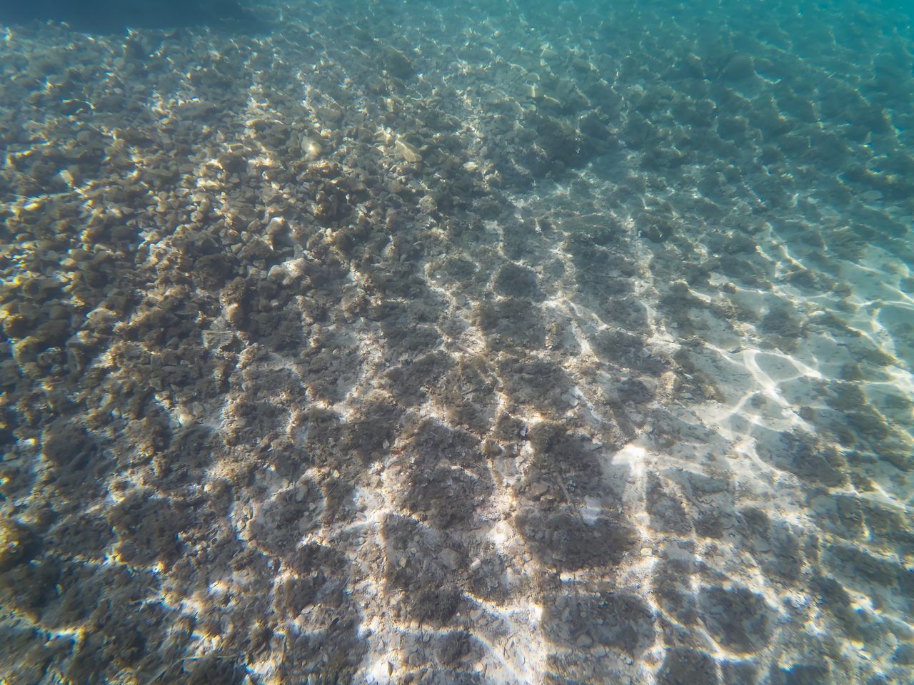 Calanques Marseille snorkeling