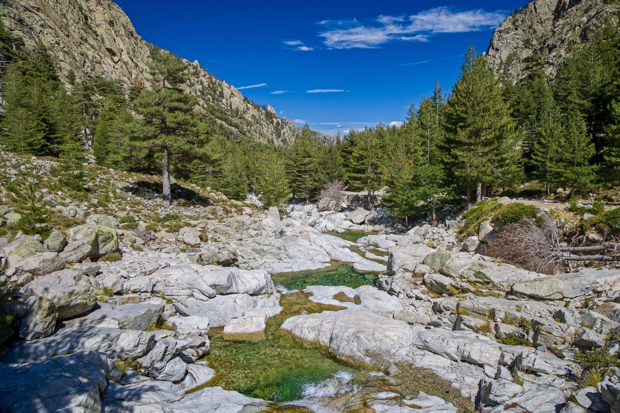 Vallée de la Restonica