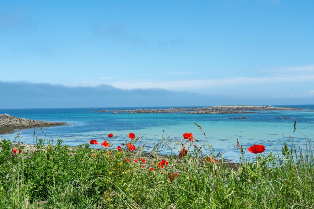 ile-de-batz