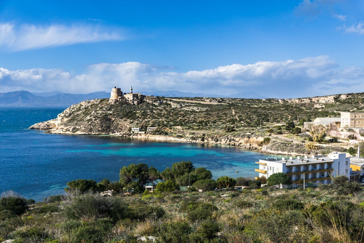 Calamosca