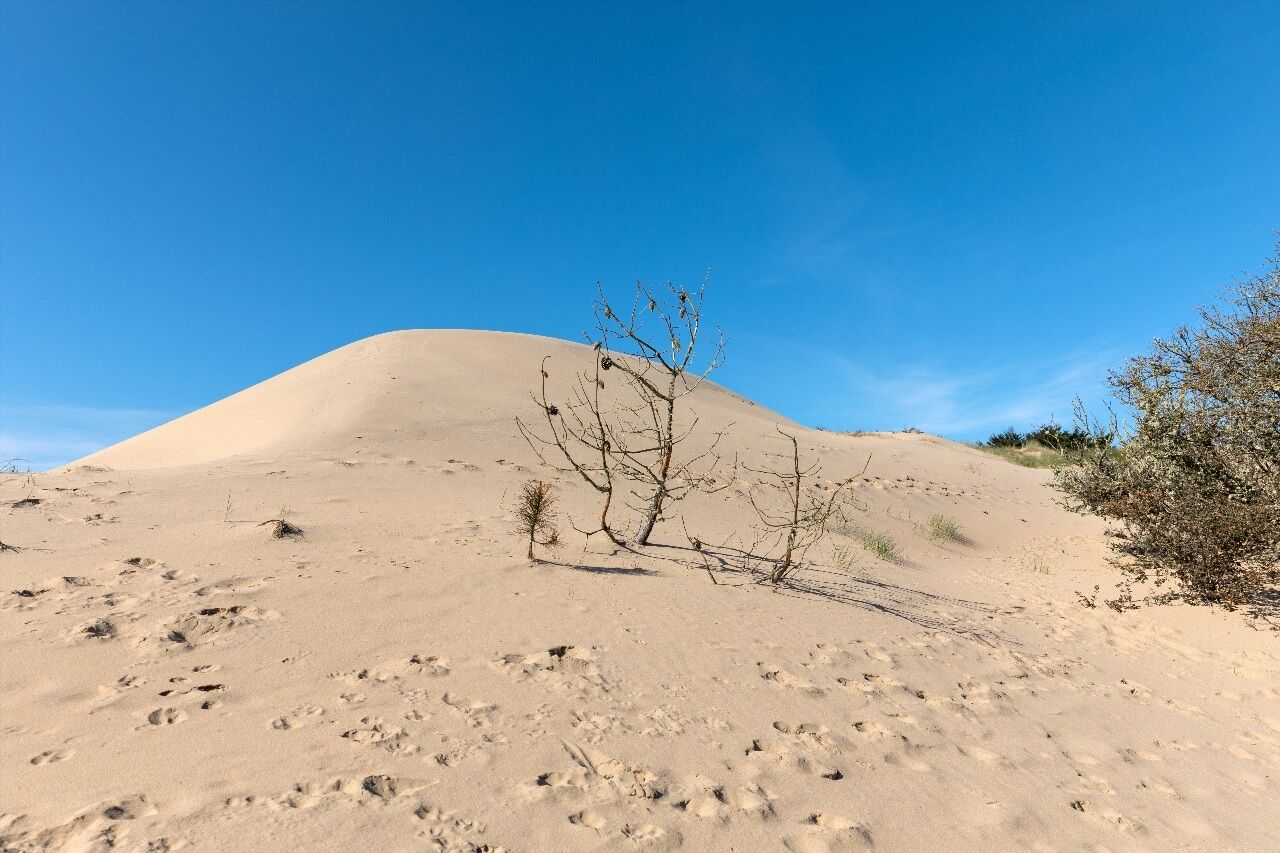 Plage du Veillon