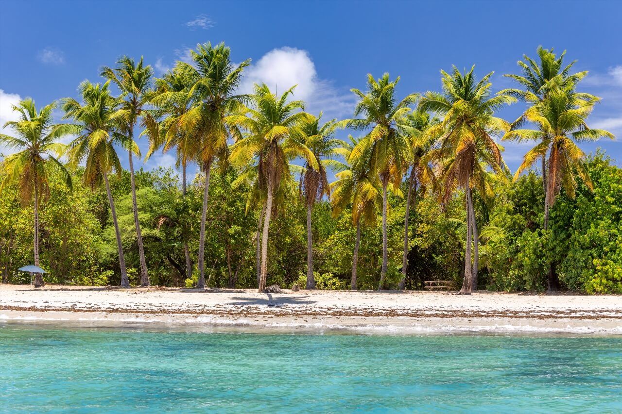 Plage des Salines