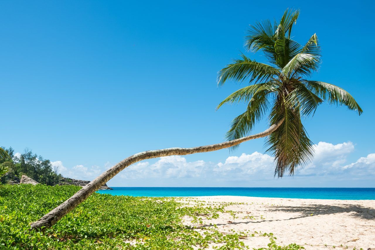 Anse Intendance Seychelles