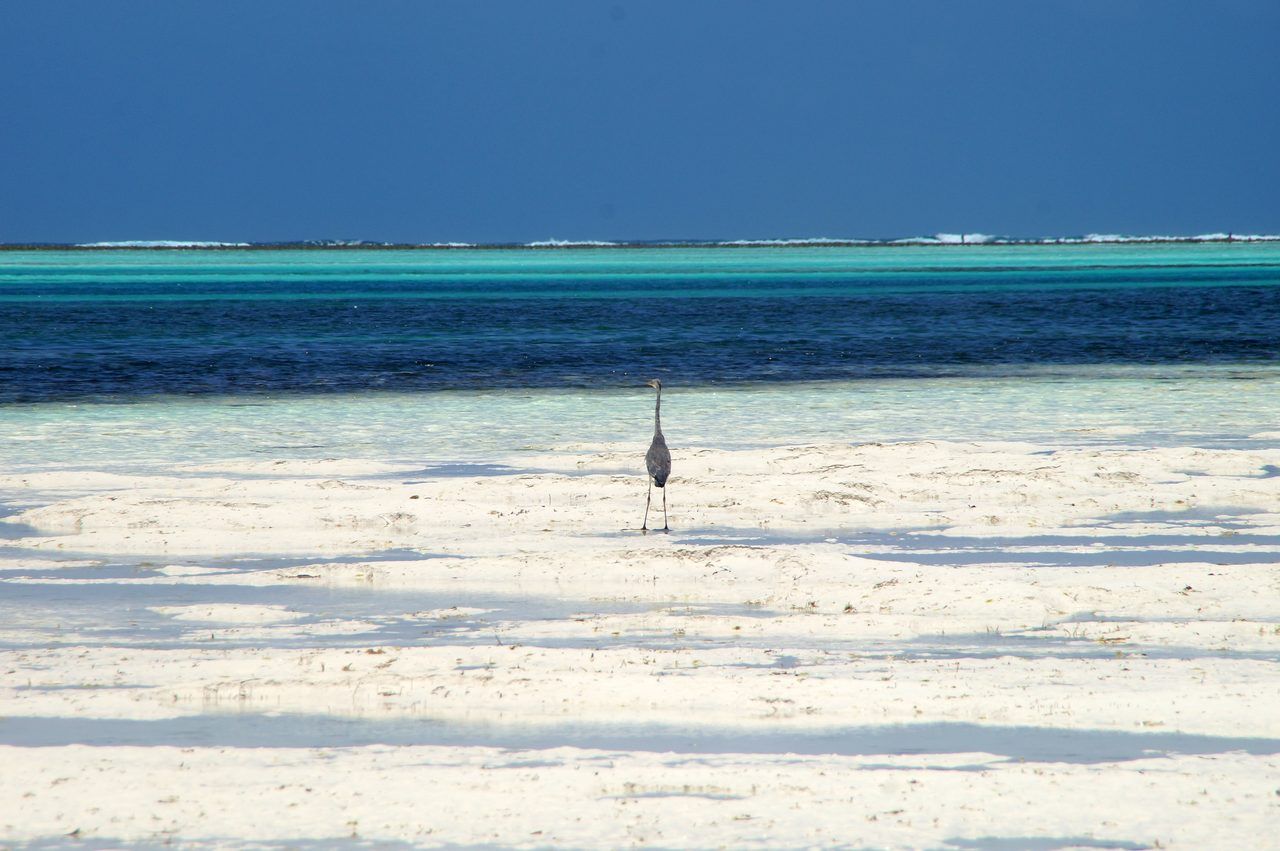 Plage de Jambiani
