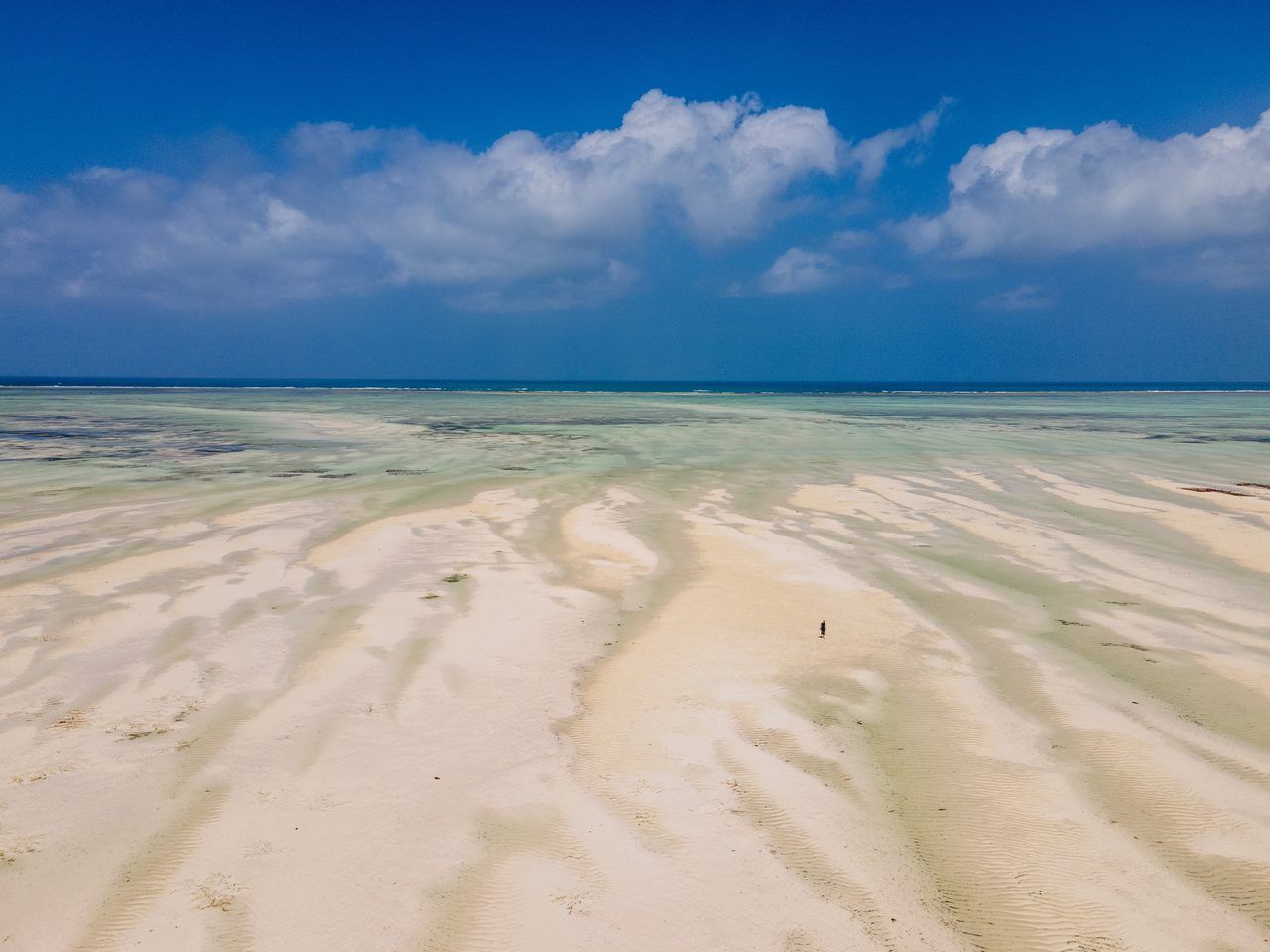 marée basse Zanzibar