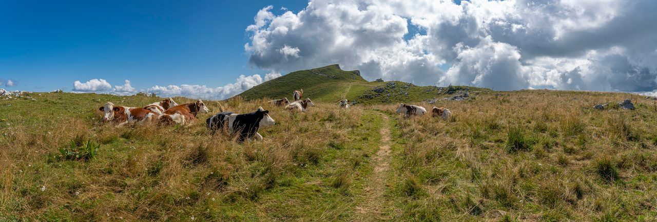 Grande Traversée du Jura