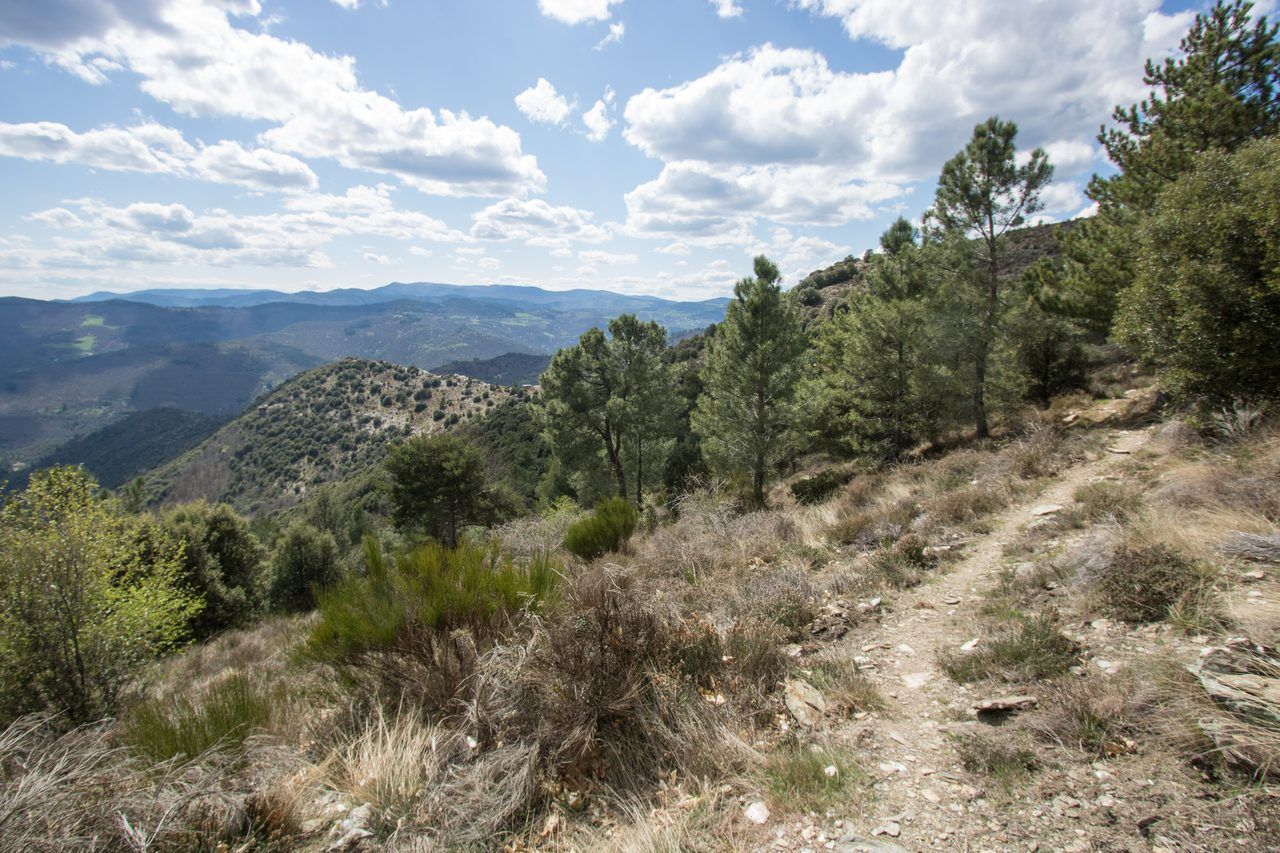 Chemin de Stevenson Cévennes