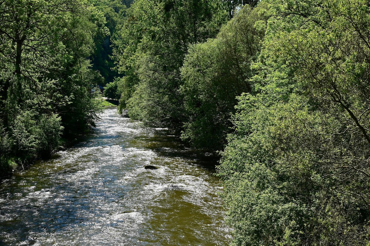 Rivière Sarthe