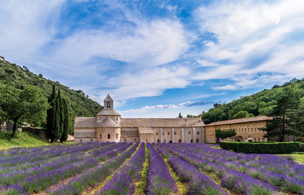 Abbaye de Sénanque