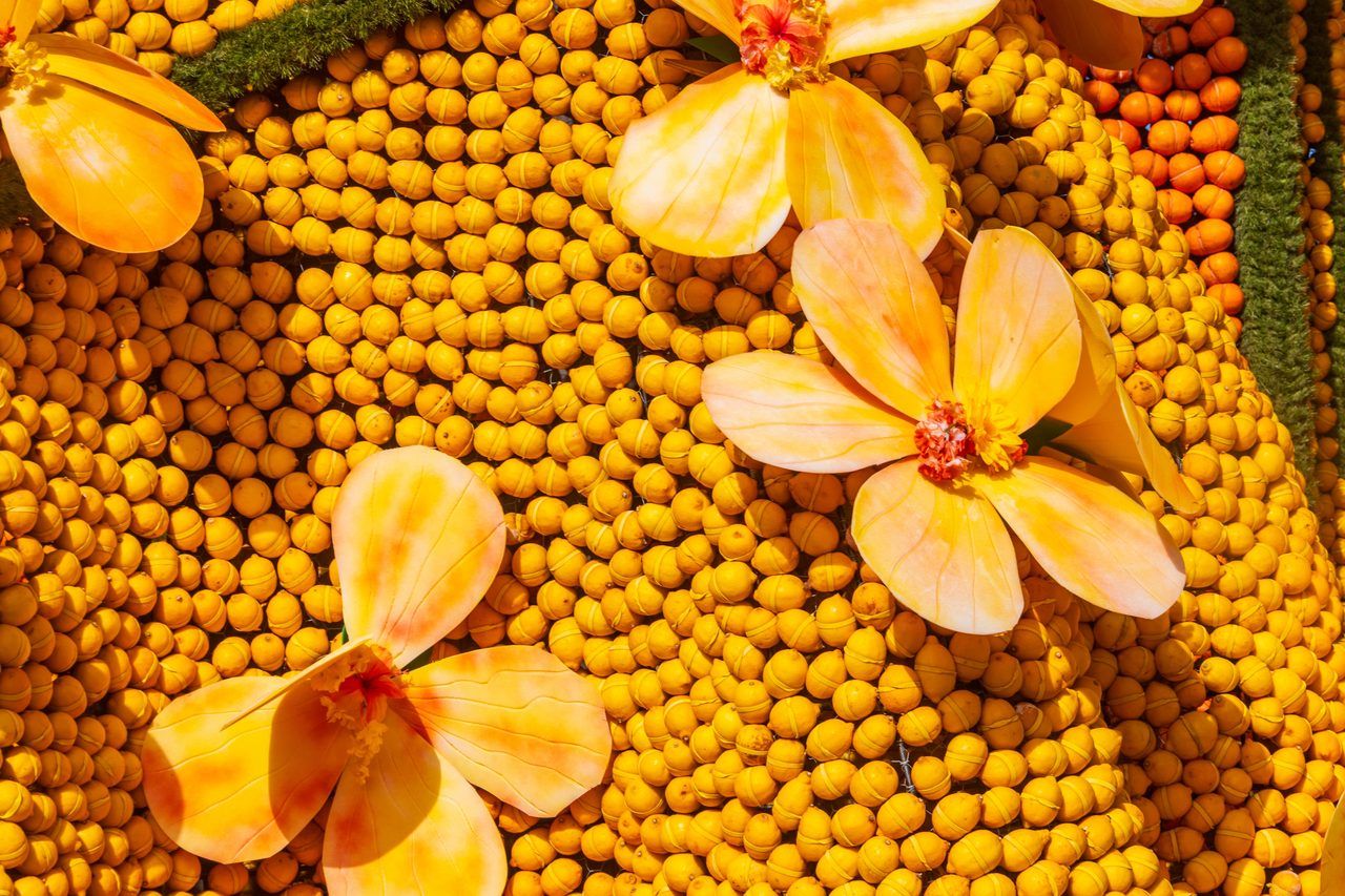 Fête du Citron Menton