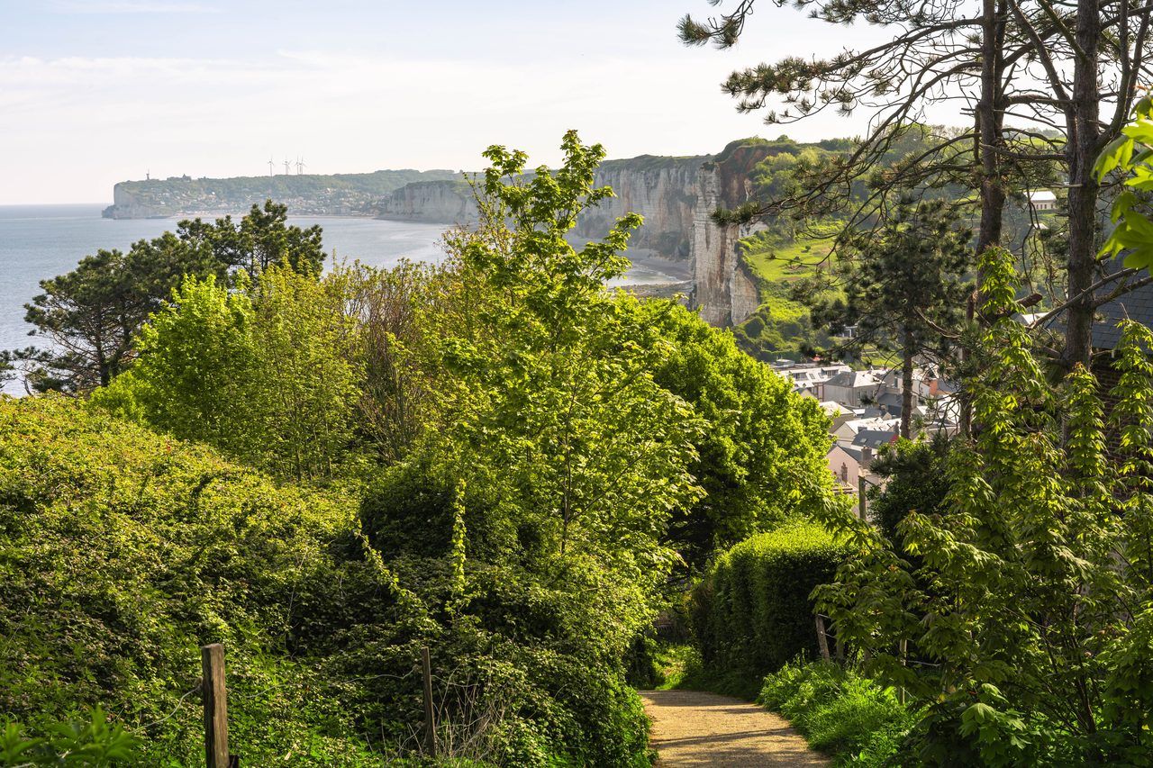 Falaises d'Étretat