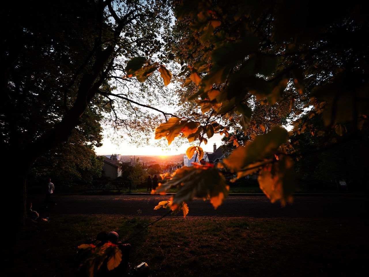 Alexandra Park Bath