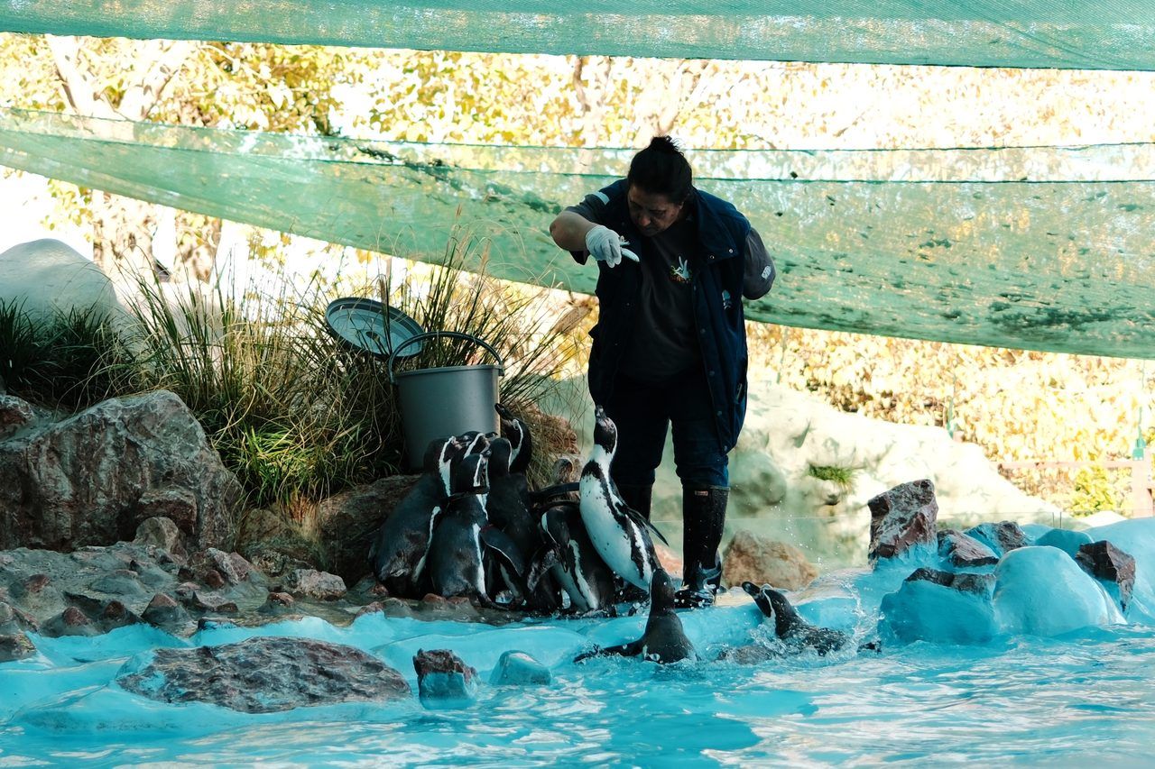 Zoo de Belgrade