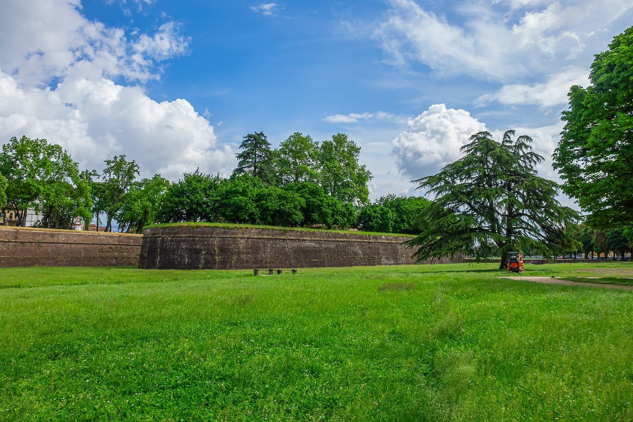 remparts fortifications médiévales
