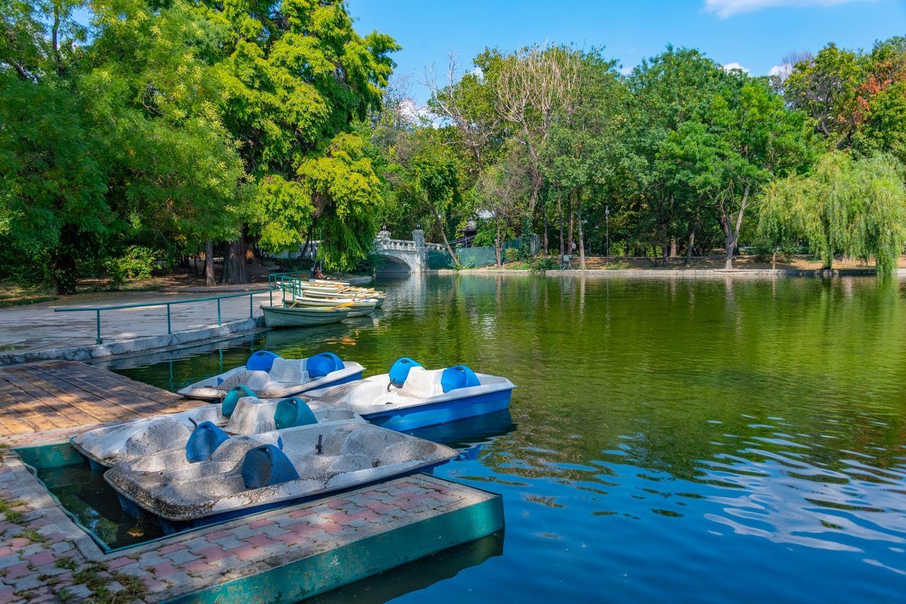 Parc Cișmigiu