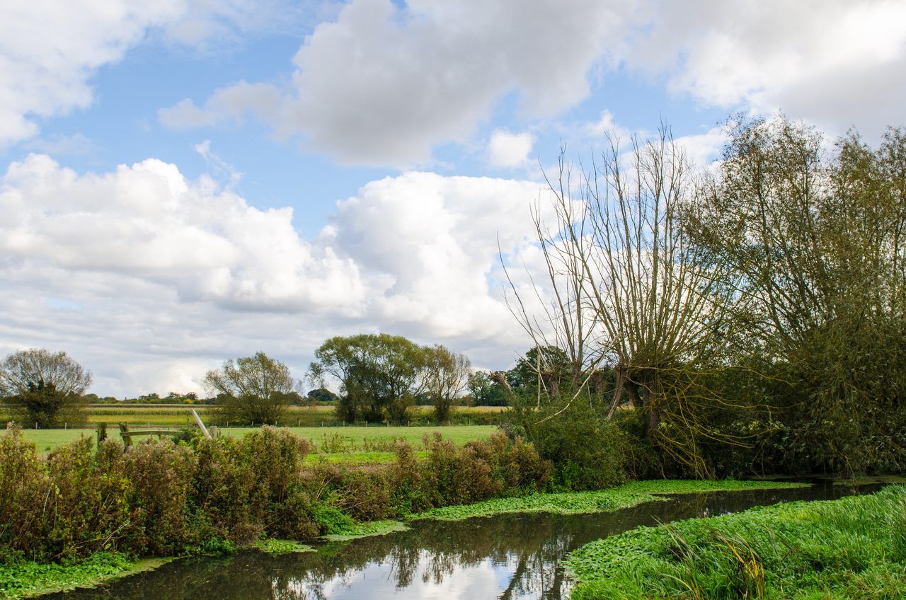 Grantchester Meadows