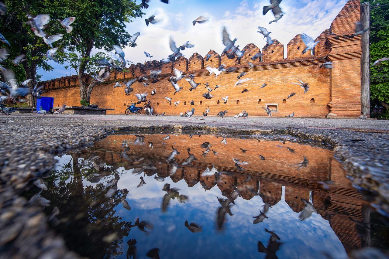 Que faire à Chiang Mai en 2026 : 27 expériences incontournables