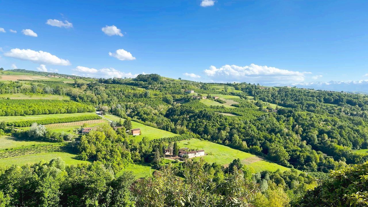 Que faire à Cholet en 2026 : 15 expériences entre bocage vendéen et vignoble angevin