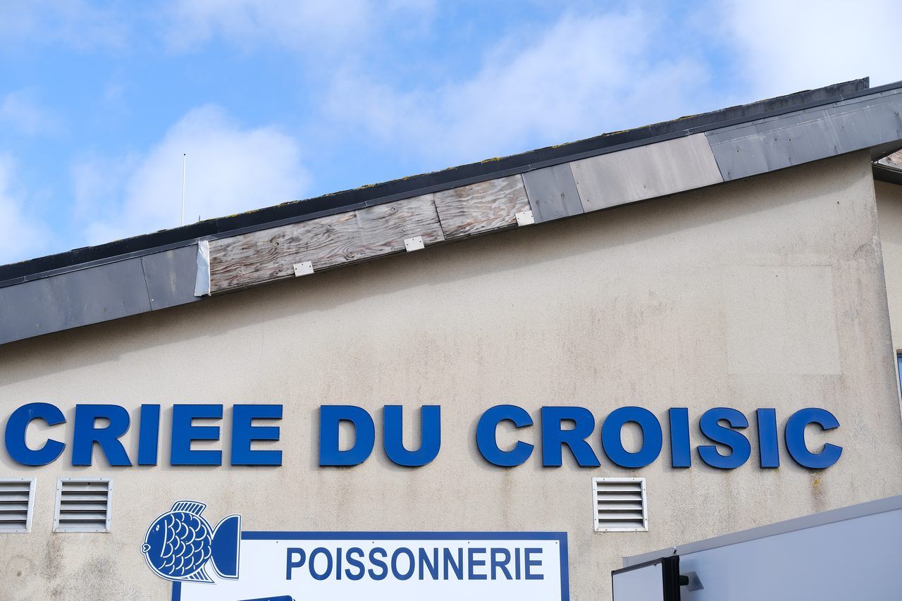 Criée du Croisic