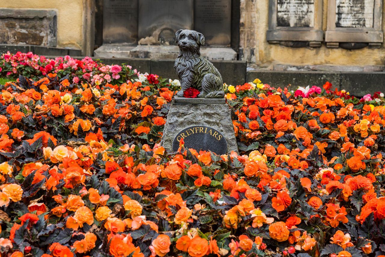 Greyfriars Bobby