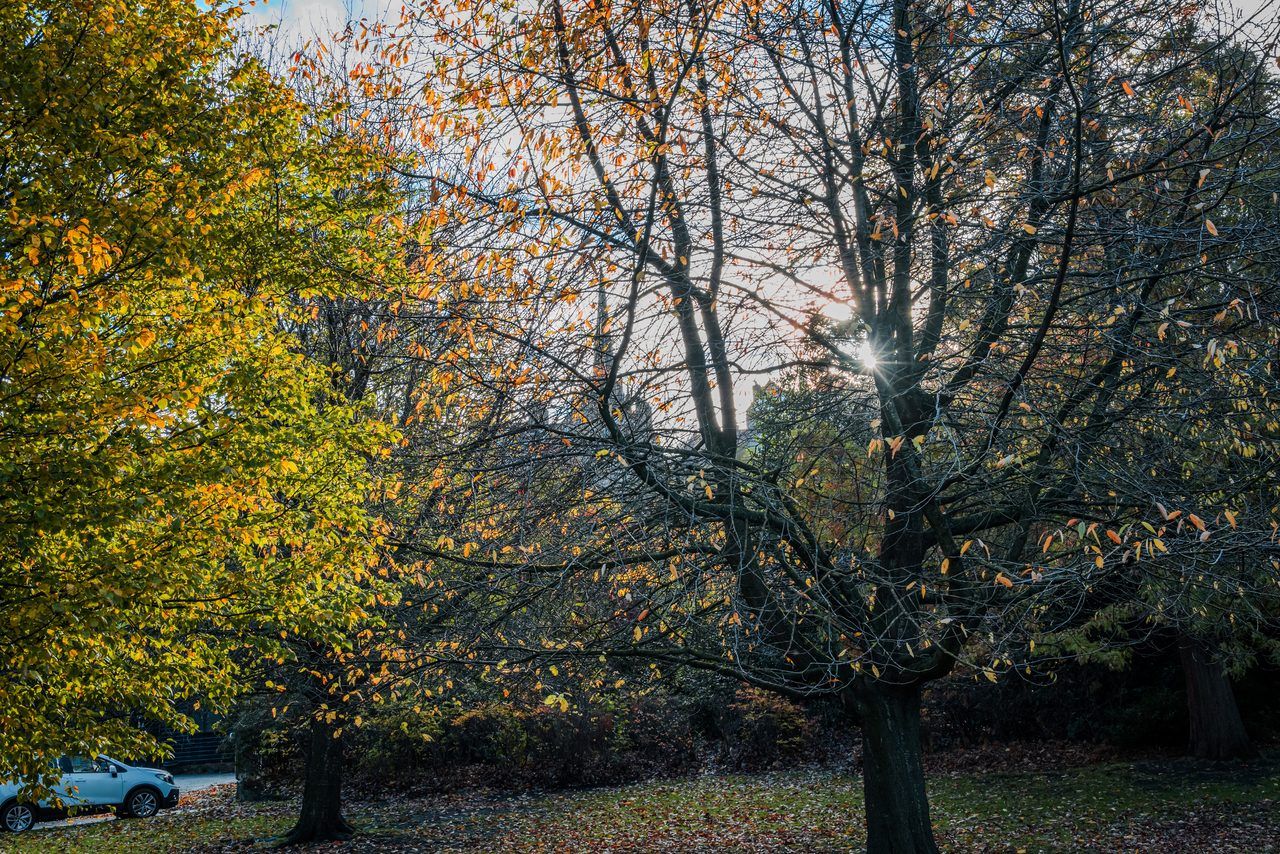 Princes Street Gardens