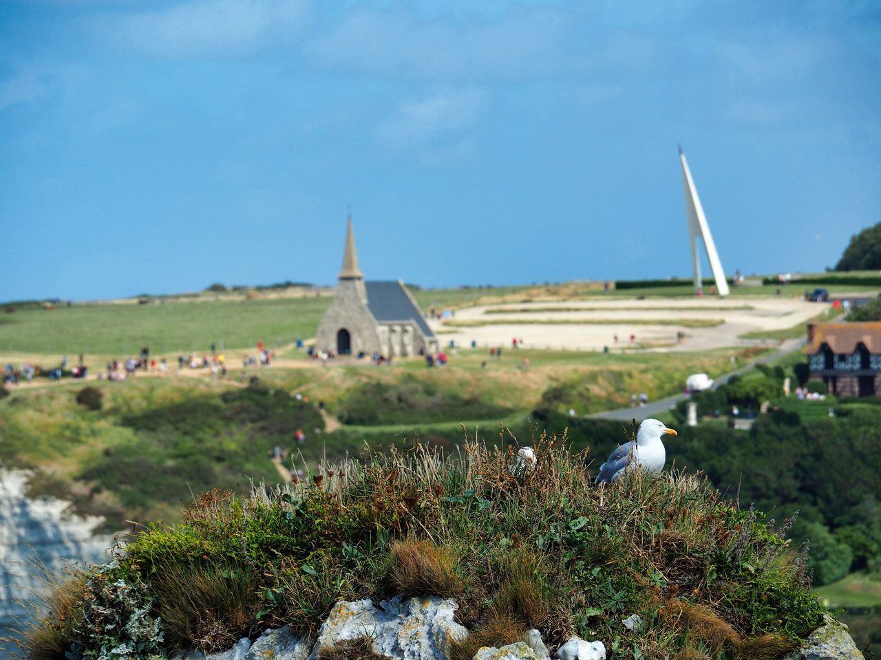 Monument Nungesser Coli