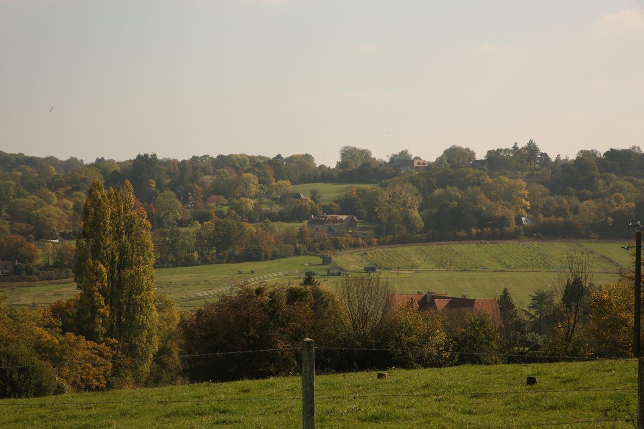 Vallée de la Touques