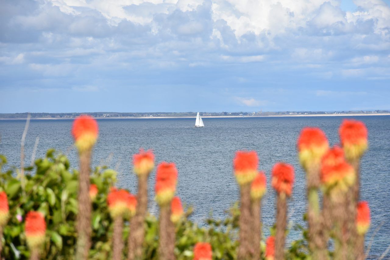 Île de Groix