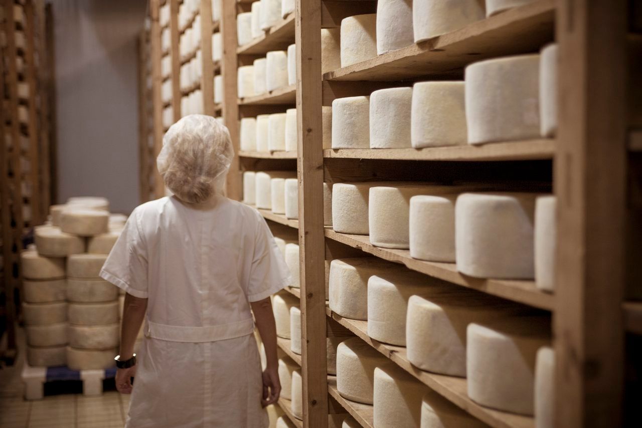 Gastronomie Naxos fromages