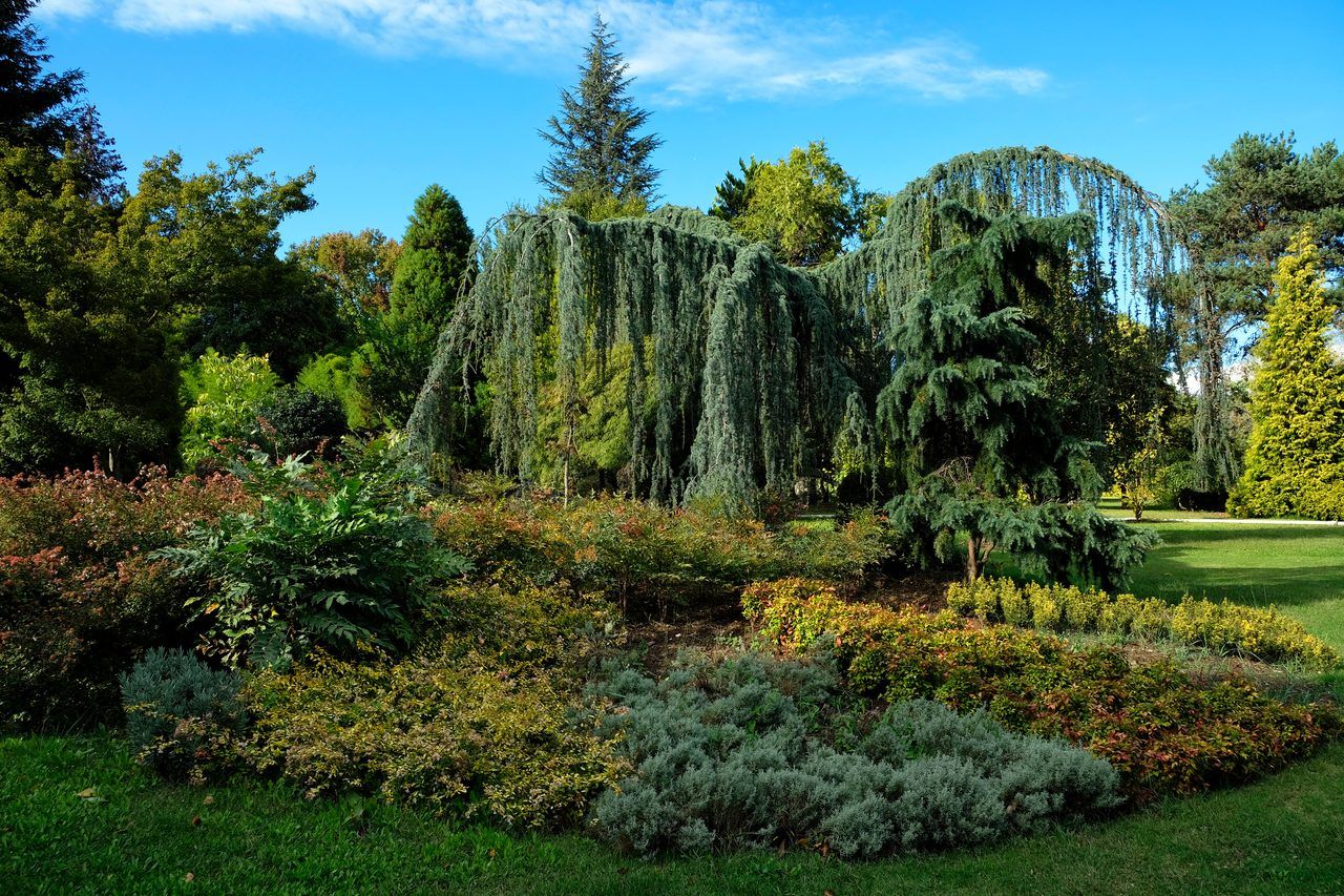 Arboretum de Payssas
