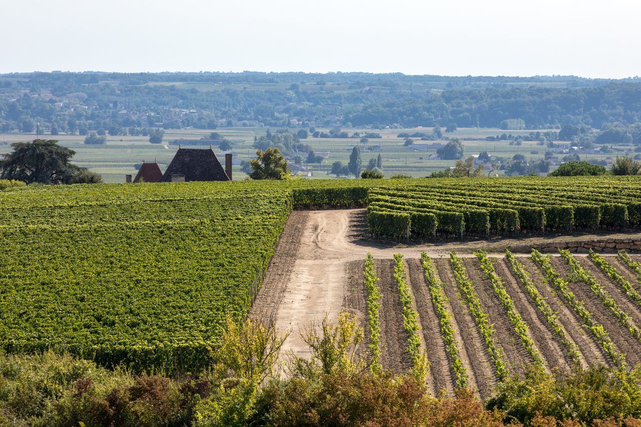 Montagne-Saint-Émilion