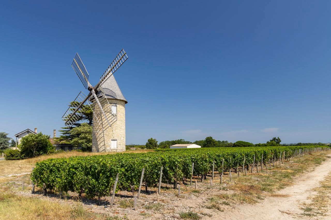 vignoble Saint-Émilion