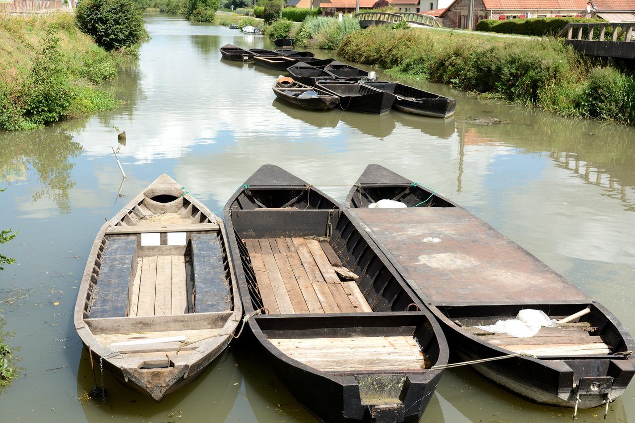 Marais audomarois